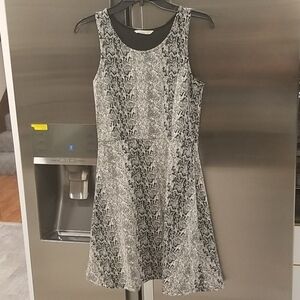 💕BB DAKOTA💕 Snake Skin Pattern Mini Dress